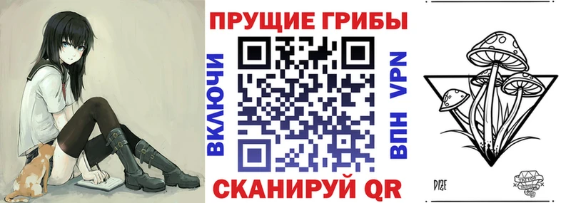 Галлюциногенные грибы Cubensis Купить где Луга